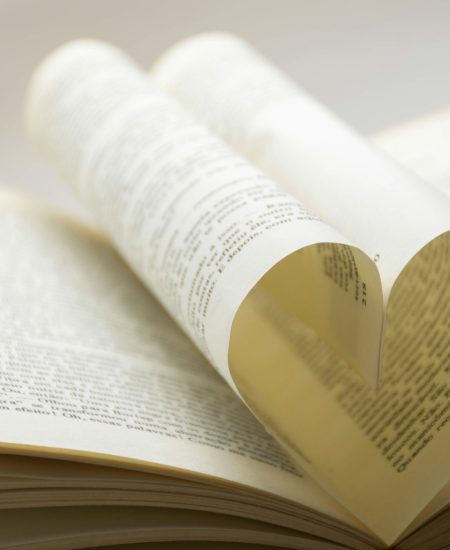 lbladzijde boek die hart vormt